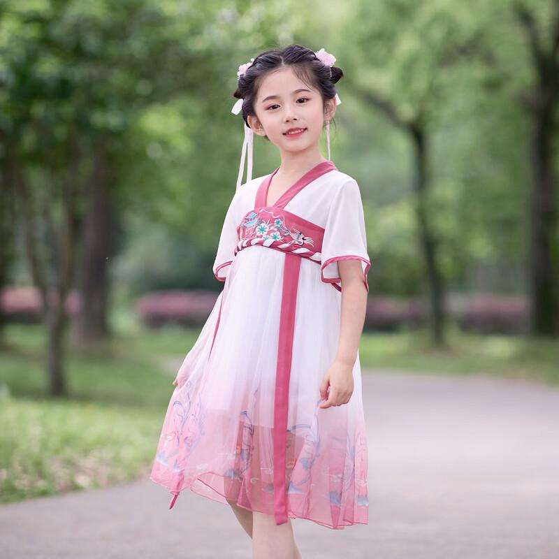 Little Tiger Patty Girls' Summer Embroidered Chiffon Hanfu Dress