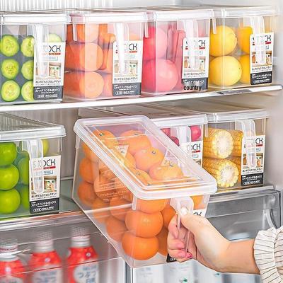 Vegetable & Food Preservation Refrigerator Box