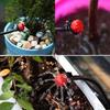 5~40m Automatic Garden Watering System Kit Rain Sensor Water Timer Dripper Irrigation Combination Lawn Potted Watering Supplies