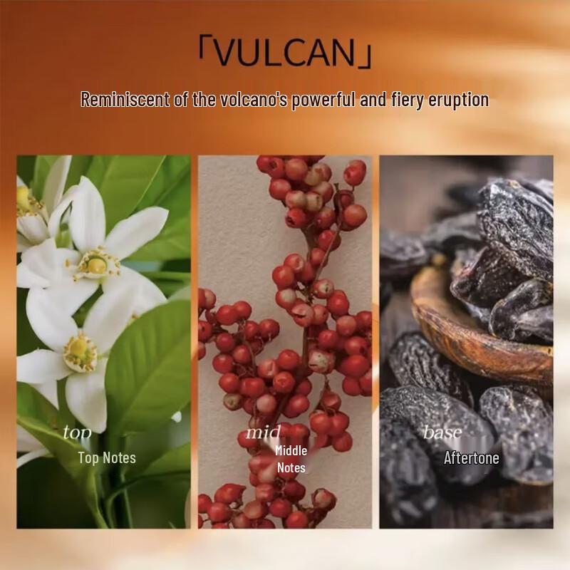 Loewe Fragrance Collection