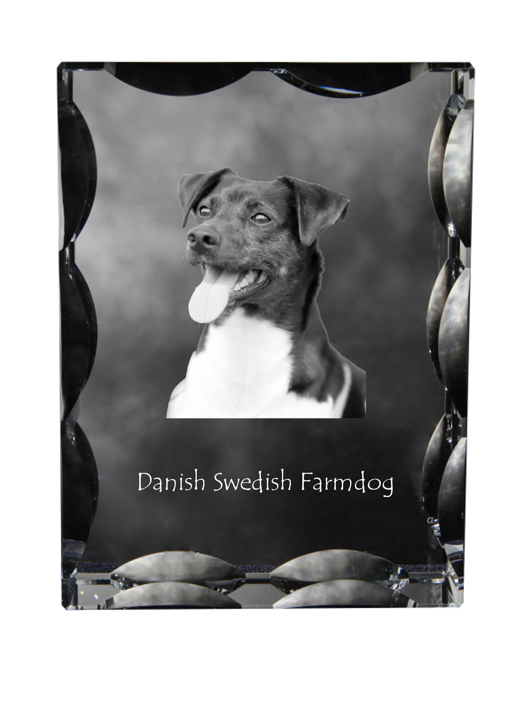 

Danish Swedish Farmdog - crystal with a picture of a dog, glass statuette with a picture, unique frame with a picture from Art-Dog brand прозорий