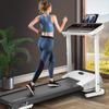 Longchan Foldable Mini Home Treadmill