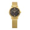 [Timex] Trend Watch Quartz 50m Waterproof Mineral Glass Black Dial TW2W21500 Unisex Gold