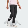 Adidas Future Icons 3-Stripes Comfortable Soft Loose Retro Sports Striped Casual Pants Women Pants Black JC5454