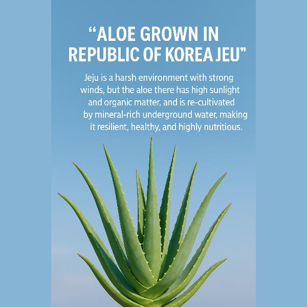 HOLIKA HOLIKA Sprchový gél s aloe vera 250 ml / Ľahký upokojujúci gél 250 ml / Upokojujúce mlieko 240 ml (10 možností)