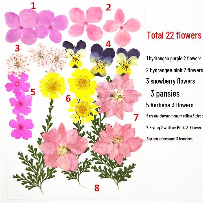 Handmade Kindergarten Collage: Real Dried Leaf and Flower Stickers for Face and Photo Decoration