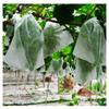 Fruit Protection Bags with Drawstring Fruit Tree Netting Cover Organza Mesh Tomato Bags Pest Barrier for Apples Mango Grape 50pc