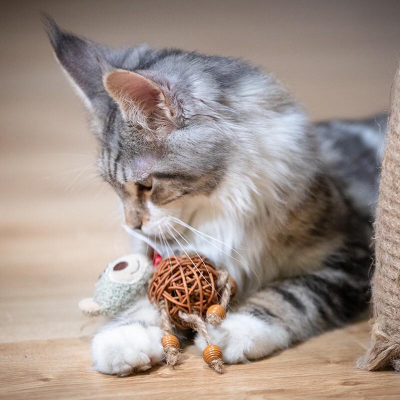 Interactive Cat Feather Bell Ball Toy