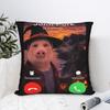 Pillow Case Funny John Pork Witch Costume Halloween Brainrot Meme Comfy Pillow Cover For Sofa Car Home Decor Kawaii Pillowcases