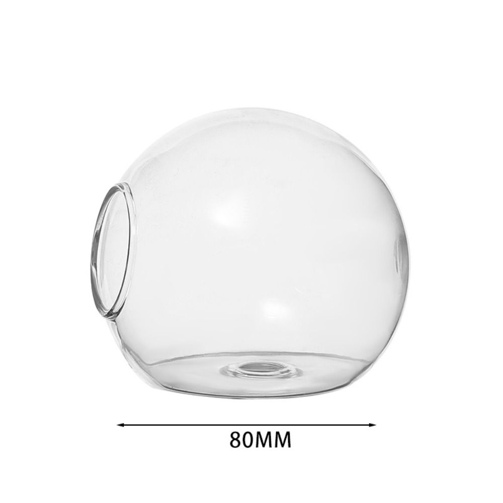 Terrarium Container Blume Flasche Sukkulente Hydrokultur Pflanze Vase