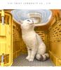 Trasportino Pieghevole Portatile per Animali Karolfer: Capsula spaziale traspirante per cani e gatti.