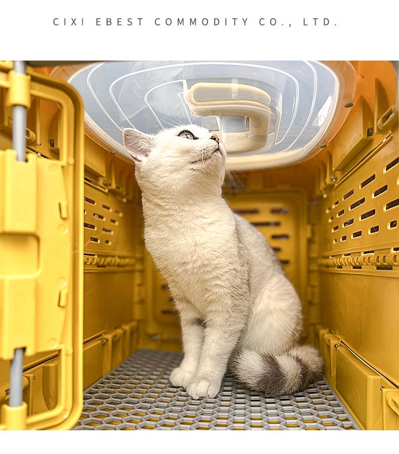 Trasportino Pieghevole Portatile per Animali Karolfer: Capsula spaziale traspirante per cani e gatti.