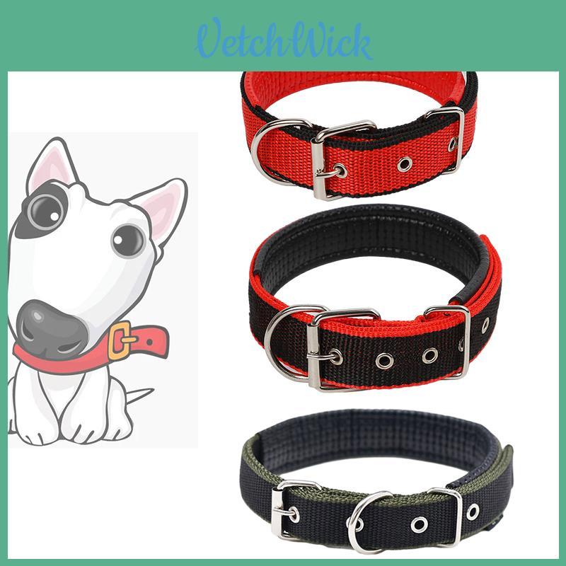 Pet Collar Made Of Pp Polypropylene Breathable And Comfortable Suitable For All Seasons