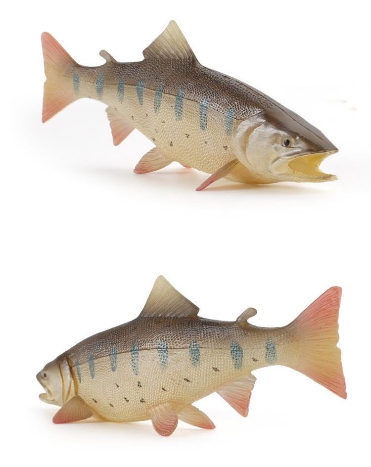 Modelo interior de riacho de montanha do rio Yamame [Nekogamiyama] truta, peixe, peixe, estatueta, modelo, miniatura, ornamento, decoração, colecionador