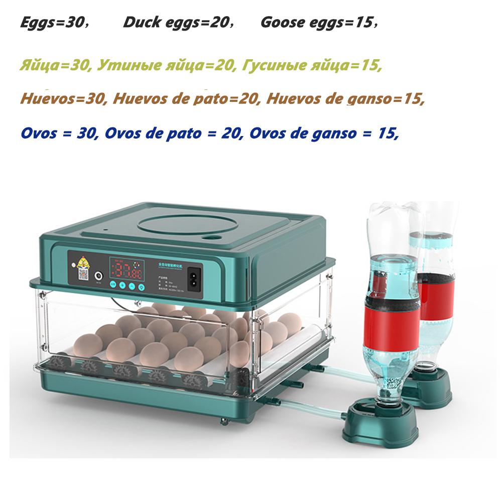 16/24/30 Brooder Eggs Incubator Fully Automatic for Chicken DuckGoose Auto Turner Electric Equipment Hatchery Poultry Farm Tools