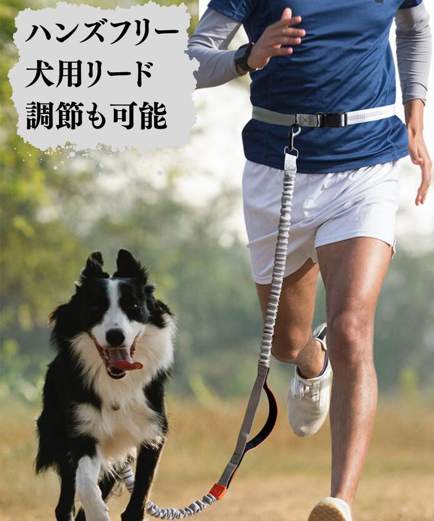 dog for medium to large shoulder waist small and Hands-free leash, retractable, dogs, strap, reflective, belt, dogs, more. (Green)