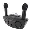 Wireless Microphone System Dual Professional Home KTV Innovative Owl Wireless Karaoke Mic System