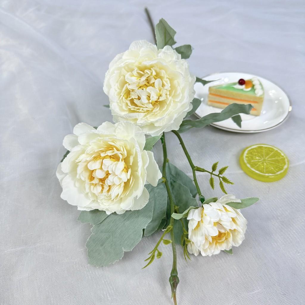 Silk Paeonia Suffruticosa Wedding Arch Flower Decoration For Event Photography And Home Decor