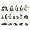 Gstu530949 3D Printed Animals Penguins