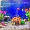 Aquarium Decoration Fish Tank Ornament Cartoon Pineapple Shape House Fish Hideout Shelter House Fish Tank Aquarium Accessories