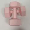 TLXT Hex Dumbbells for Home Fitness