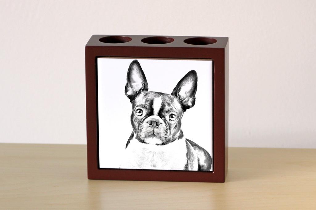 Boston Terrier, American Gentleman – Pen holder with a dog, desk organizer with a print | Art-Dog
