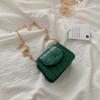 Women Mini Tote Bag New Crocodile Pattern Flap Messenger Crossbody Bag Female Simple Shoulder Bag Compact Square Lady Handbag