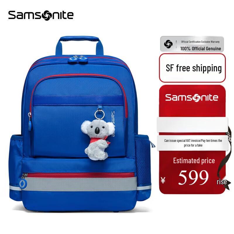 

Samsonite Koala Student Backpack