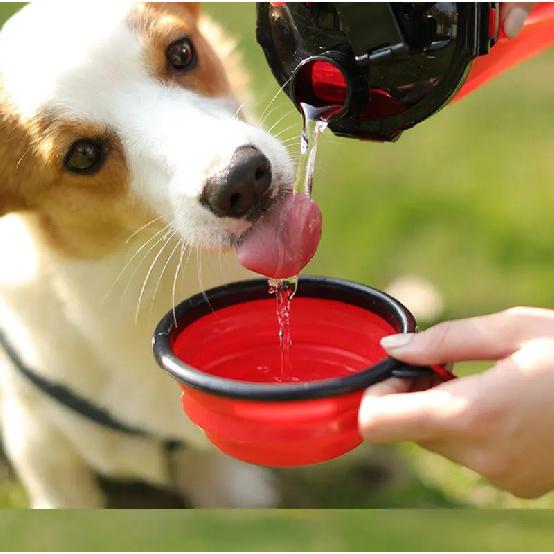Dog Travel Water Bottle Bowls 2 in 1 Pet Food Container with Collapsible Portable Dog Food Bowl Outdoor Water Bowls for Pet Cat