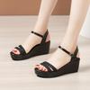 Women's Sandals Summer 2025 New Fashion Wedge Sandals Women Platform High Heels Open Toe Comfortable Sandals 32-43 Women Shoes