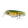 6 Colors Hard, Realistic Plastic Artificial for and Trout