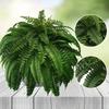 Artificial Boston Fern Foliage With Durable Silk Material For Event Decoration And Photography Props