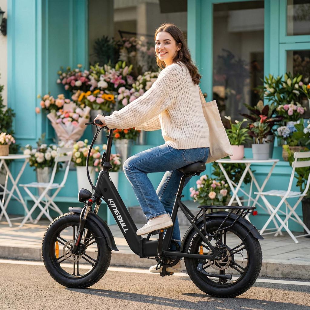 KINGBULL LITERIDE 2.0 48V 500W Elektrisches Citybike, 20 Zoll, mit einer maximalen Reichweite von 50 Kilometern und einer maximalen Tragfähigkeit von 150 Kilogramm.