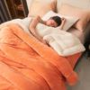 Plush Thick Warm Winter Blanket Double Layer Milk Fleece Flannel Soft Bed Blankets for Sofa Single Couple Flurry Bedspread