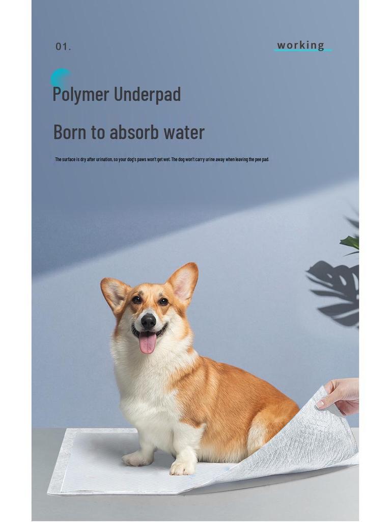 Disposable Odor-Free Dog Diaper Pads with Water Lock for Small and Medium Dogs