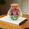 BESPORTBLE Round Glass Jars with Cork, Small Round Glass Dome Clear Cloche Globe Display Bell Jar Round Terrarium for Flower Dollhouse Mini Figure