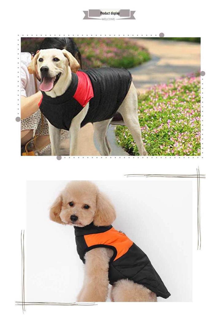 Winter Dog Ski Suit: Thickened Cotton Jacket & Warm Vest
