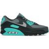 Sko Air Max 90 Cool Grey Dusty Cactus Black Wolf Grey(DM0029-013)