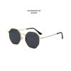 2025 High-End Unisex Metal Polygon Anti-UV Sunglasses