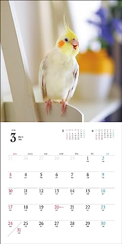 2024 Calendar Cockatiel (Seibundo Shinkosha Calendar)
