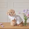 Pet Spring Lace Flying Sleeve Lady Dress Teddy Collar Dress Dog Clothes for Small Dogs T-shirt Puppy Clothes