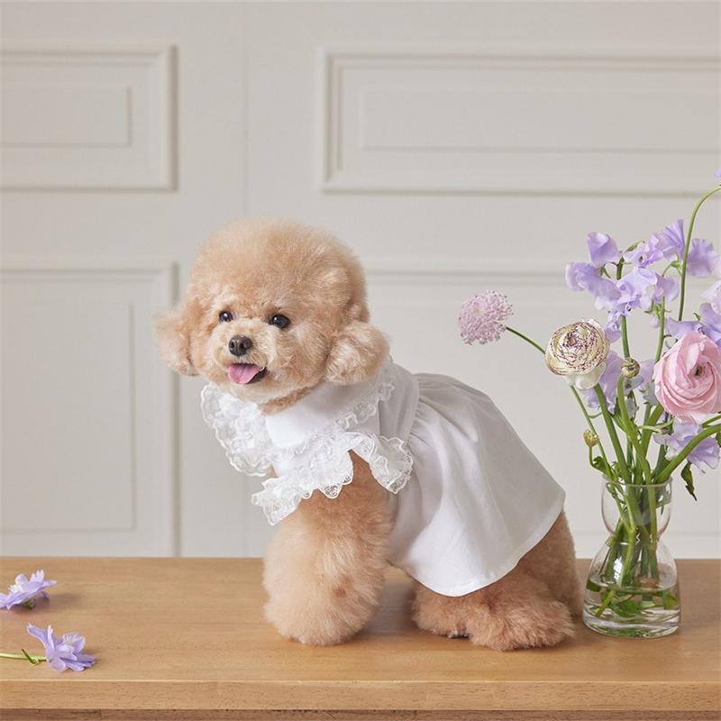 Pet Spring Lace Flying Sleeve Lady Dress Teddy Collar Dress Dog Clothes for Small Dogs T-shirt Puppy Clothes