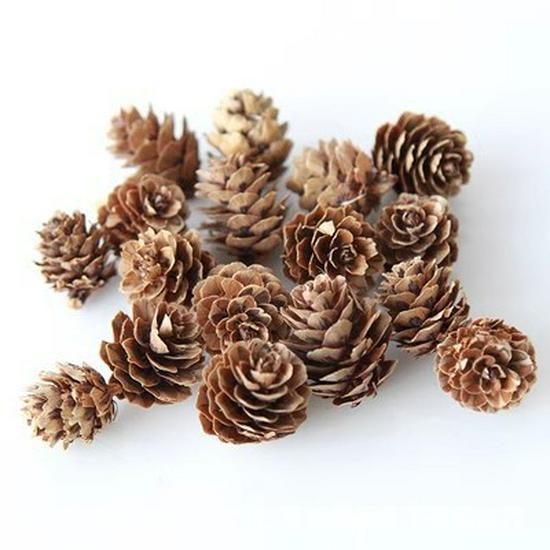 Handmade Wild Pine Cone Christmas Tree Decorative Branches with Dried Flowers