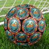 Underwater Catfish Scene Round Football Size 5 Adult Ball Suitable for Training Matches and Outdoor Team.