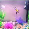 Fish Tank Decoration Treasure Frogman Fish Tank Landscaping Aquarium Pirate Treasure Aquarium Decoration