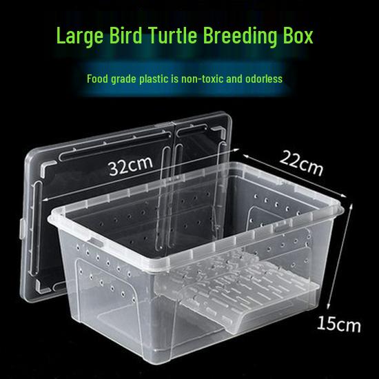 Reptile Habitat Tank for Silkworms, Spiders, Frogs, Snakes, Lizards, Snails, Insects, and Turtles