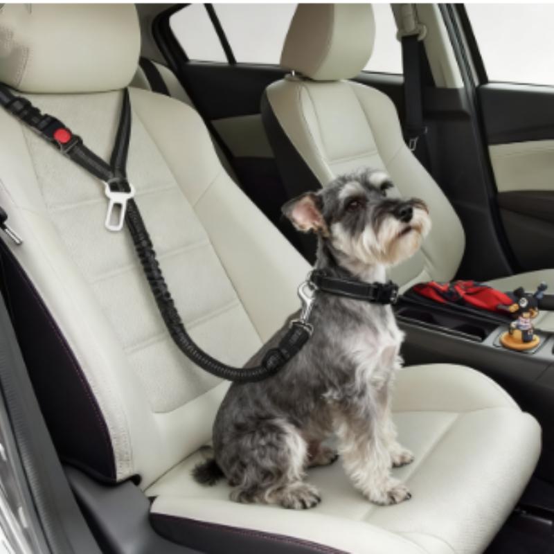 Reflective Pet Dog Car Seat Belt Puppy Dog Walking Travel Car Accessories Dog Leash Harness for Small Dogs Pet Car Supplies