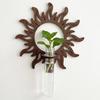 Wall Shelf Hydroponic Plant Frame Durable Wall-Mounted Plant Holder with Transparent Test Tube for Home Decor