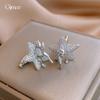 Cold Wind Zircon Stars Pony Stud Earrings Natal Year Fashion Earrings Women
