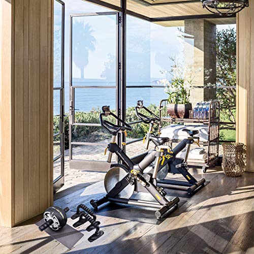 CATOOM Ab Roller with Mat + Push-Up Wheel, Exercise Wheel, 220kg Weight Capacity, Black/Gray